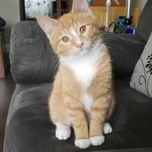 Meet your Posher, Fran